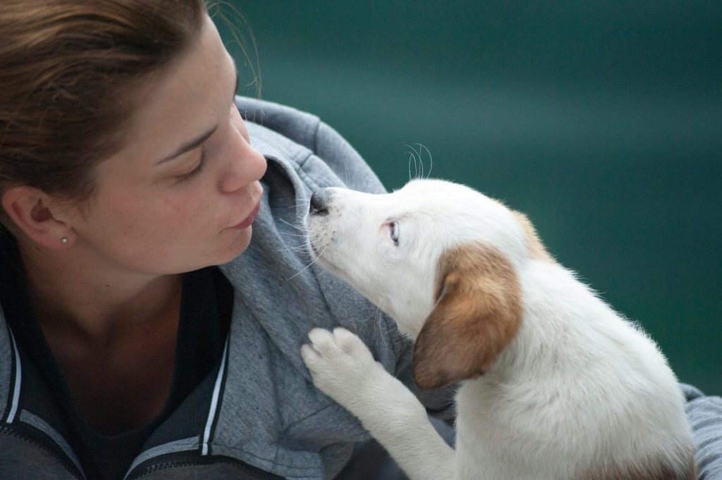 7 dolda sätt din hund visar sin kärlek – utan att du märker det